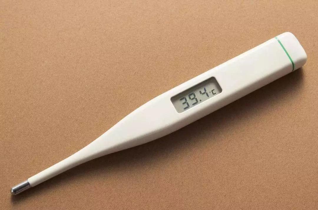 电子体温计 电子体温计